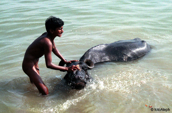 Benares