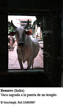 Benares