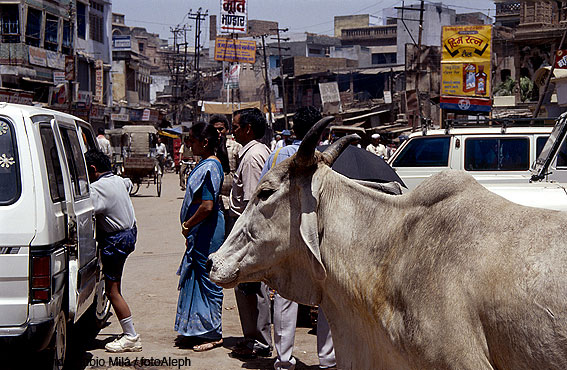 Varanasi