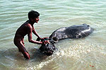 Benares