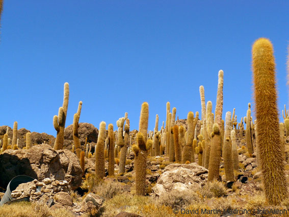 Bolivia