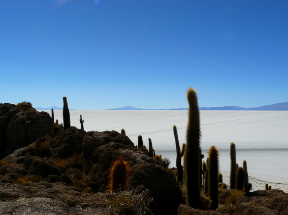 Bolivia