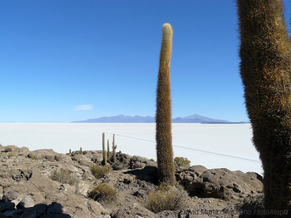 Bolivia