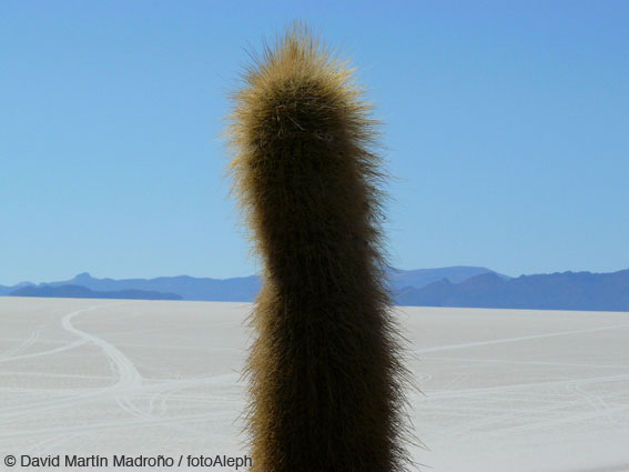 Bolivia