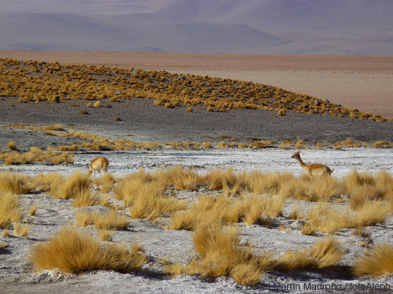 Bolivia