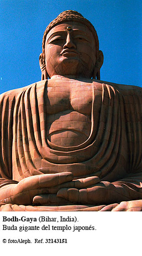 El amanecer del budismo