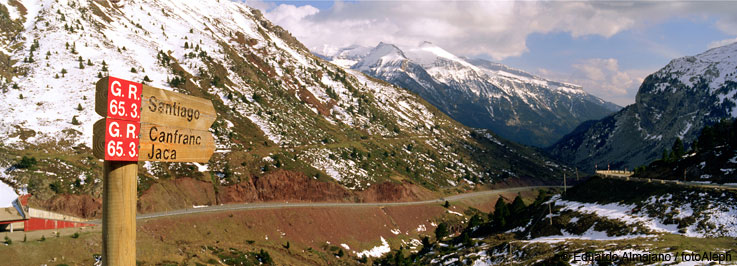 El Camino de Santiago