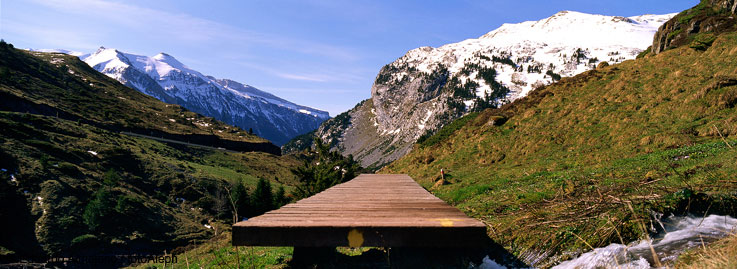 El Camino de Santiago