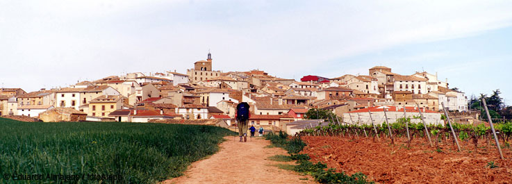 El Camino de Santiago