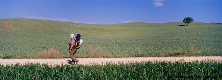 El Camino de Santiago