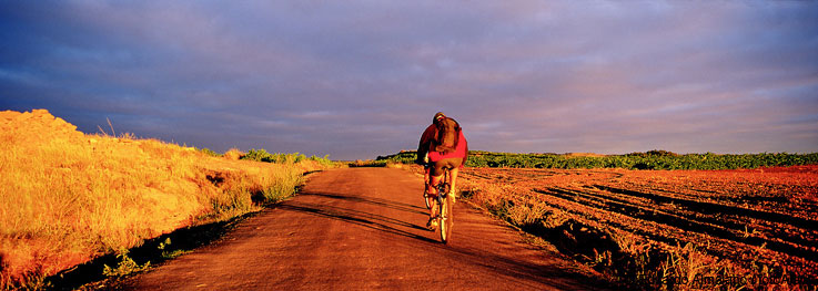 El Camino de Santiago