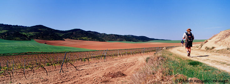 El Camino de Santiago