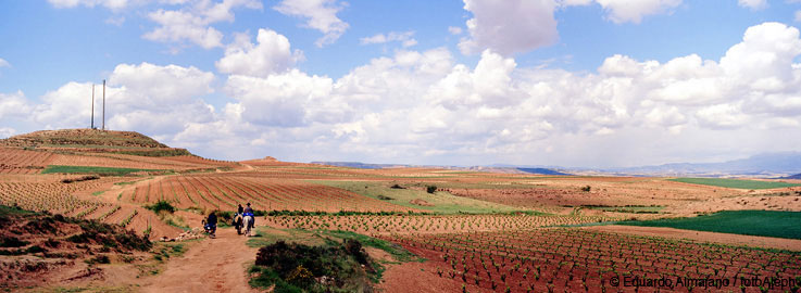 El Camino de Santiago