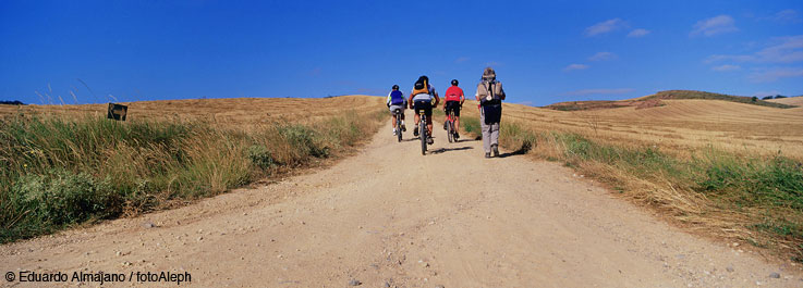 El Camino de Santiago