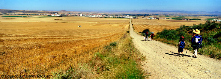 El Camino de Santiago