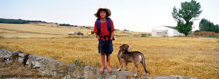 El Camino de Santiago