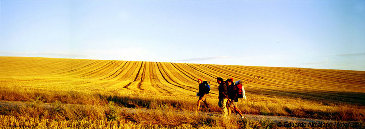 El Camino de Santiago