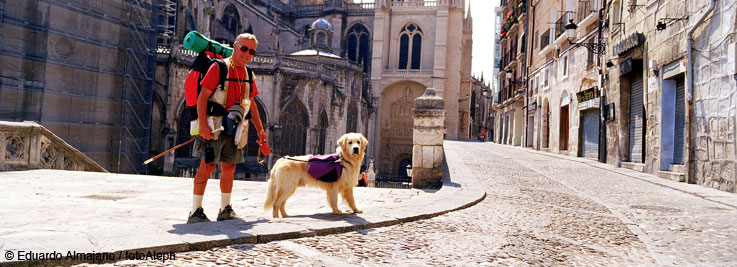 El Camino de Santiago