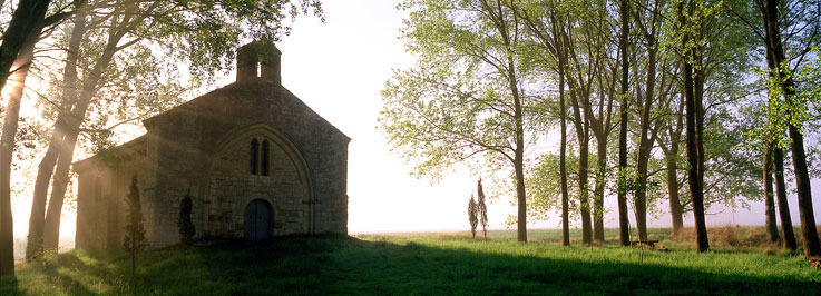 El Camino de Santiago