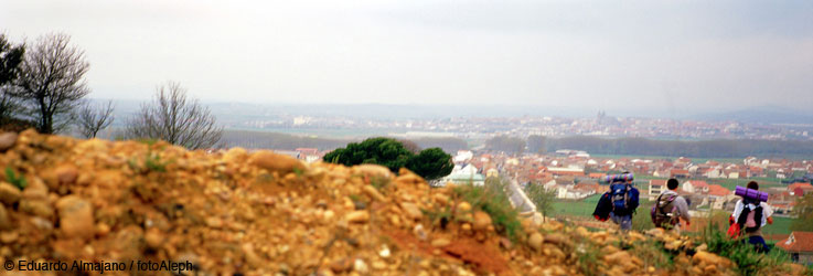 El Camino de Santiago