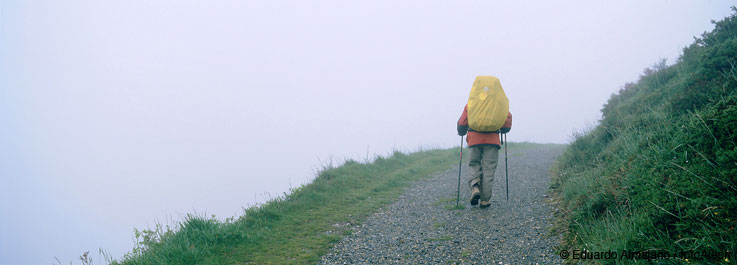 El Camino de Santiago