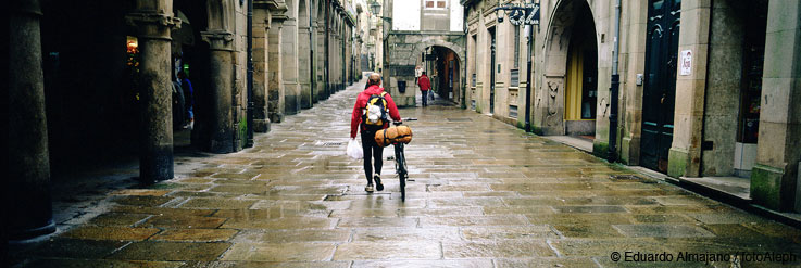 El Camino de Santiago