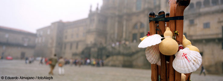 El Camino de Santiago