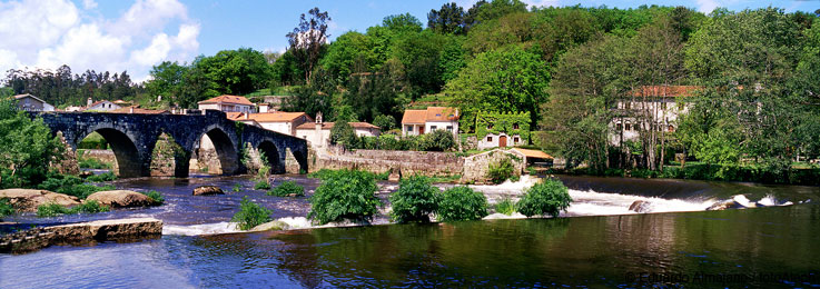 El Camino de Santiago