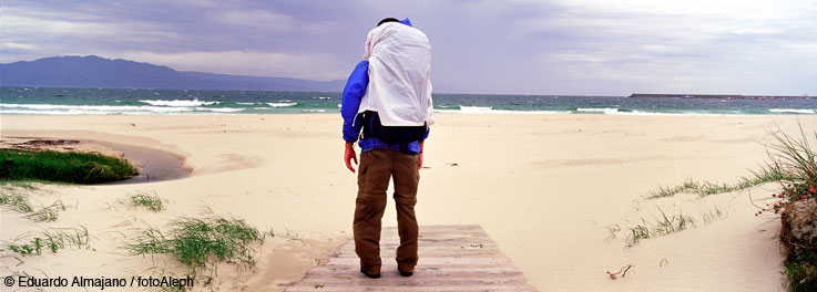 El Camino de Santiago