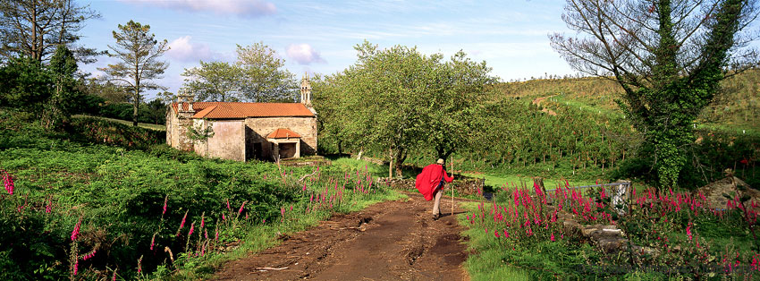 El Camino de Santiago