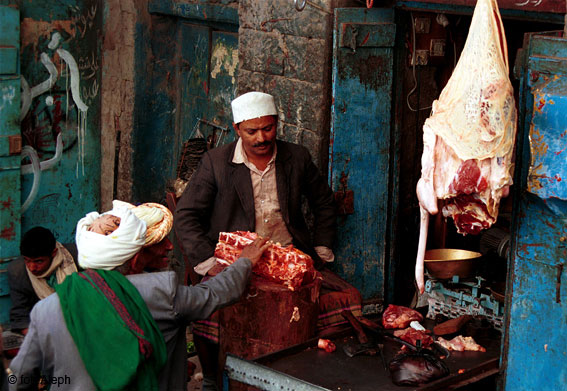 La carne y el Coran