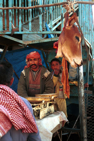 La carne y el Coran