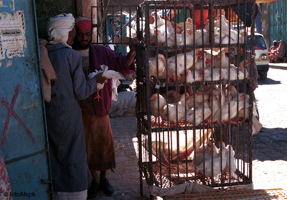 La carne y el Coran