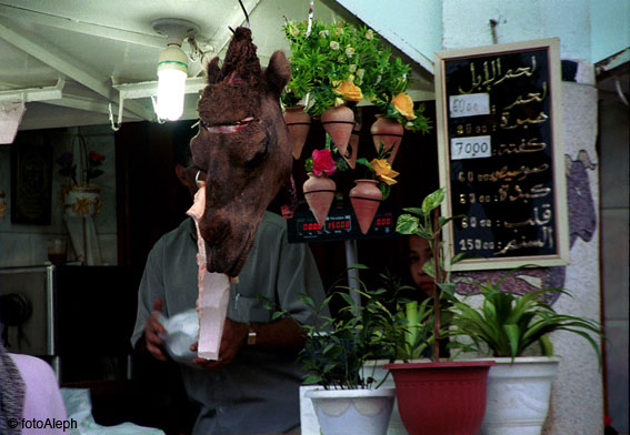 La carne y el Coran