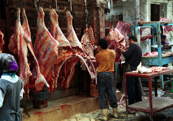 La carne y el Coran