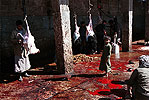 Ar-Rawdah (Yemen). Matadero de reses