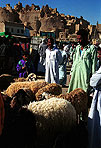 Oasis de Siwa (Egipto). Venta de ganado ovino en el zoco central