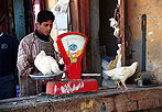 Oasis de Siwa (Egipto). Pesando un pollo