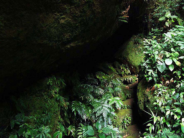 Cavernas de Colombia (El Eden)