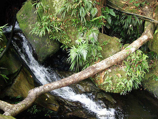 Cavernas de Colombia (El Eden)