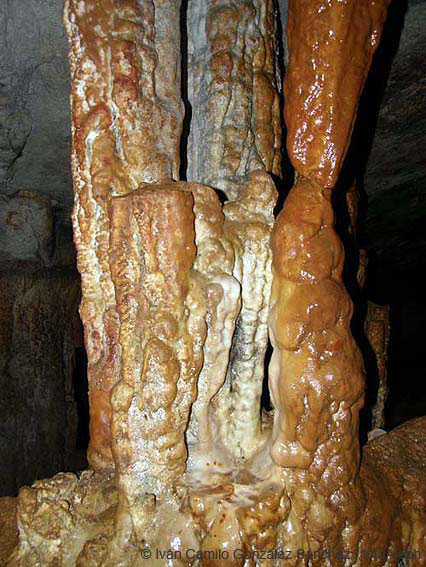 Cavernas de Colombia (El Eden)