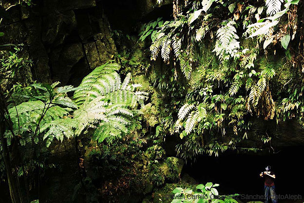 Cavernas de Colombia (Los Guacharos)