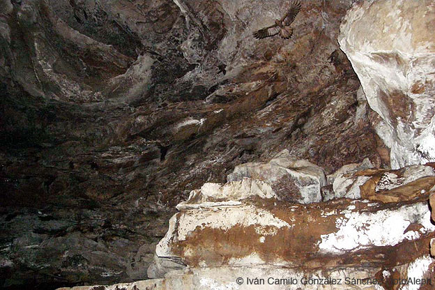 Cavernas de Colombia (Los Guacharos)