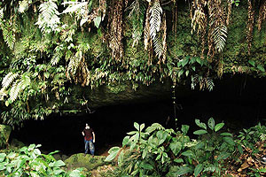 Cavernas de Colombia (Los Guacharos)