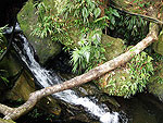 Cavernas de Colombia (El Eden)