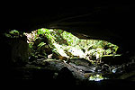 Cavernas de Colombia (Los Guacharos)