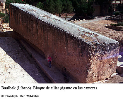 Cedros del Libano