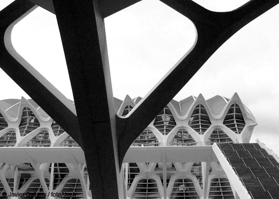 La Ciudad de las Artes y las Ciencias