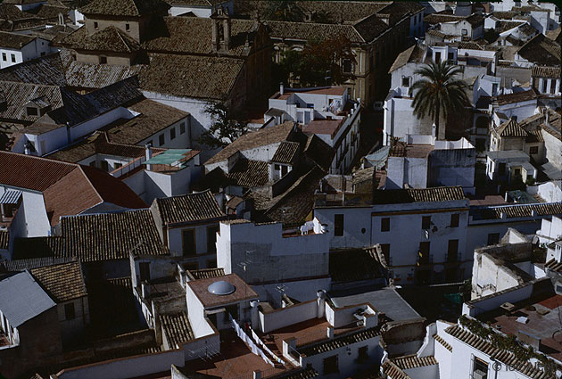 Cordoba