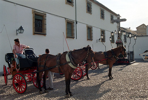 Cordoba